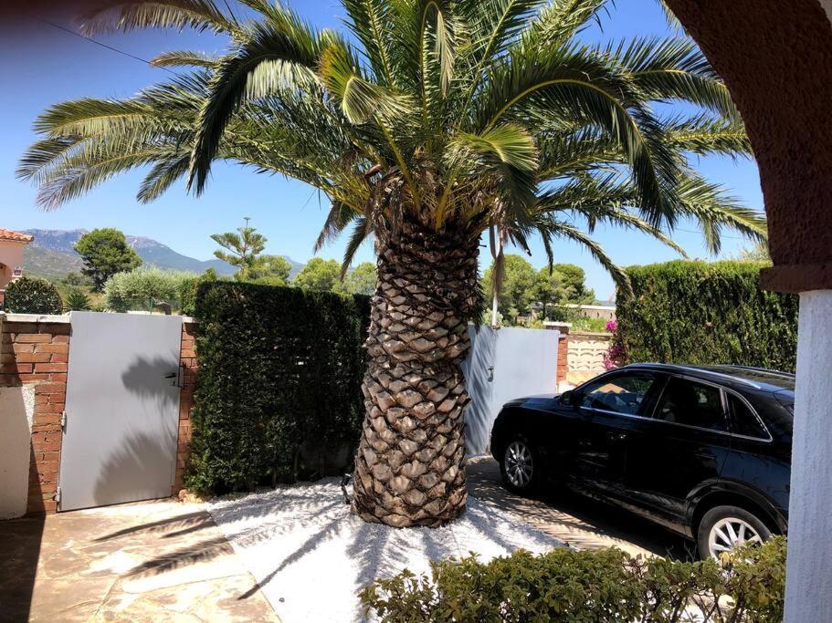 Villa Climatisee Bord De Mer Avec Piscine Privee Miami Playa Екстер'єр фото